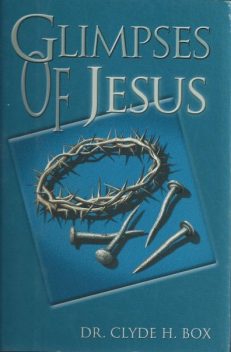 Glimpses of Jesus