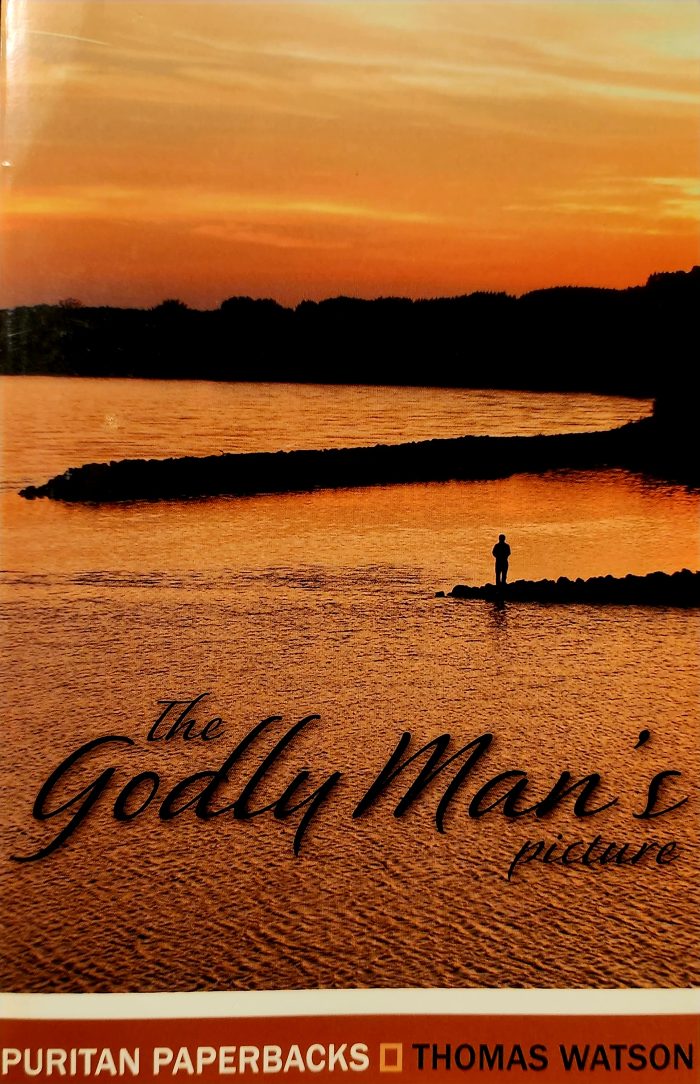 The Godly Man's Picture