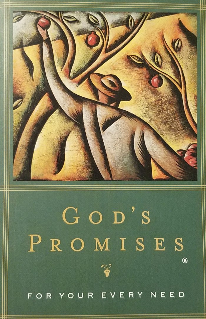 God's Promises For Your Every Need