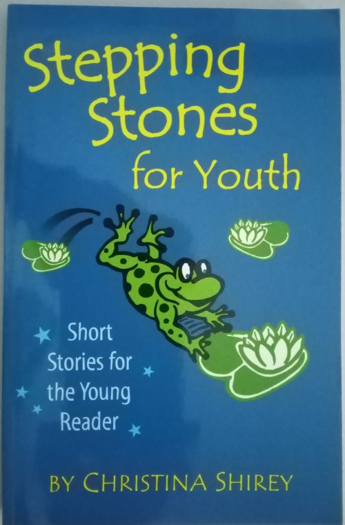 Stepping Stones For Youth